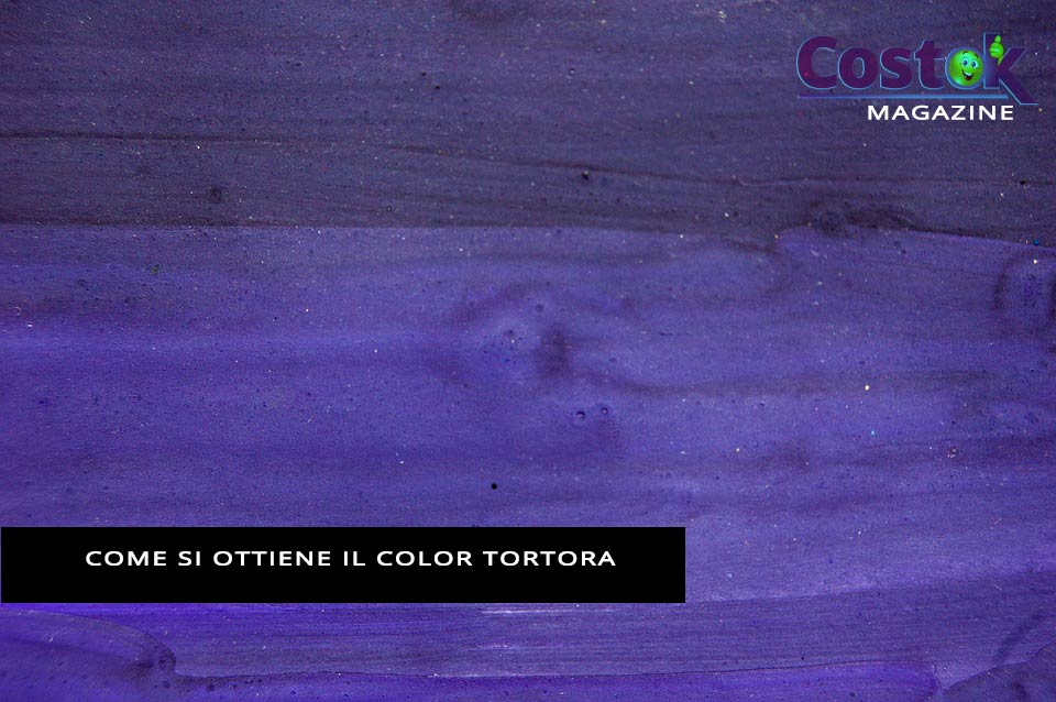 color tortora